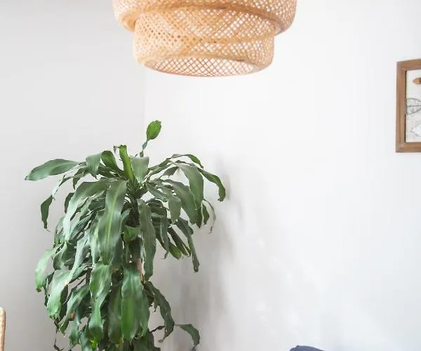 Arena Blanca Corralejo